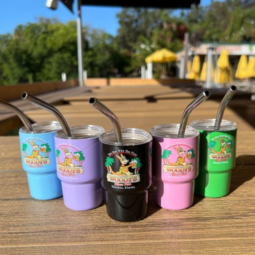 Shot Glasses with straw